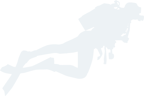 swimmer
