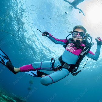 Beginner Courses