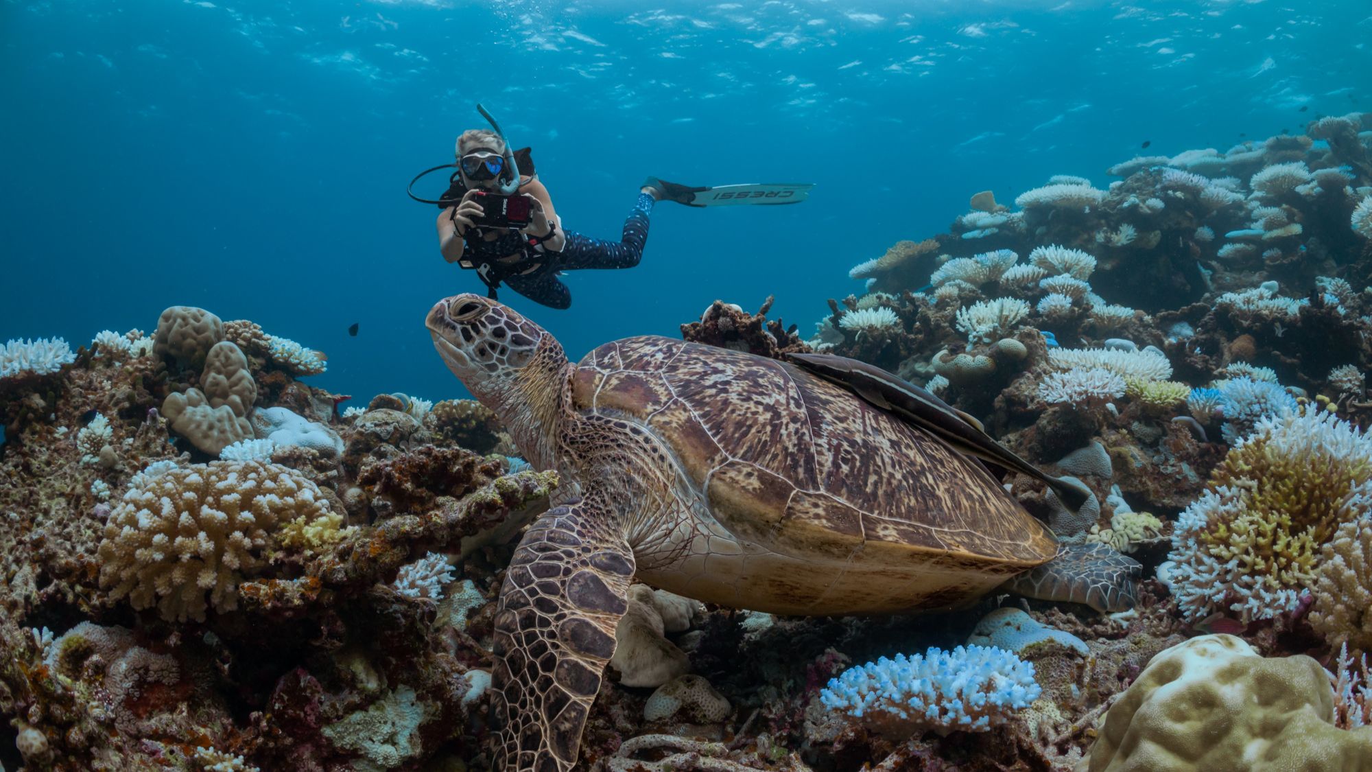 Scuba Diving